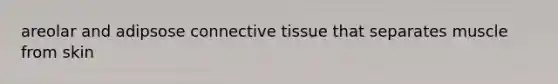 areolar and adipsose connective tissue that separates muscle from skin