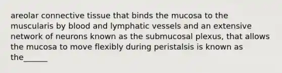 areolar connective tissue that binds the mucosa to the muscularis by blood and lymphatic vessels and an extensive network of neurons known as the submucosal plexus, that allows the mucosa to move flexibly during peristalsis is known as the______