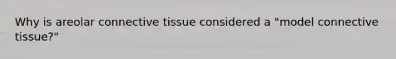 Why is areolar connective tissue considered a "model connective tissue?"