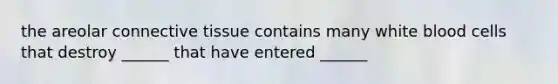 the areolar connective tissue contains many white blood cells that destroy ______ that have entered ______