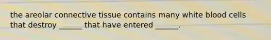 the areolar connective tissue contains many white blood cells that destroy ______ that have entered ______.