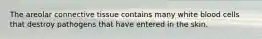 The areolar connective tissue contains many white blood cells that destroy pathogens that have entered in the skin.