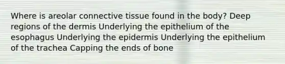 Where is areolar connective tissue found in the body? Deep regions of the dermis Underlying the epithelium of the esophagus Underlying the epidermis Underlying the epithelium of the trachea Capping the ends of bone