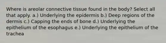 Where is areolar connective tissue found in the body? Select all that apply. a.) Underlying the epidermis b.) Deep regions of the dermis c.) Capping the ends of bone d.) Underlying the epithelium of the esophagus e.) Underlying the epithelium of the trachea