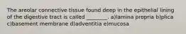 The areolar connective tissue found deep in the epithelial lining of the digestive tract is called ________. a)lamina propria b)plica c)basement membrane d)adventitia e)mucosa