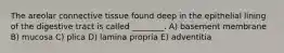 The areolar connective tissue found deep in the epithelial lining of the digestive tract is called ________. A) basement membrane B) mucosa C) plica D) lamina propria E) adventitia