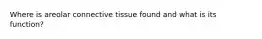 Where is areolar connective tissue found and what is its function?