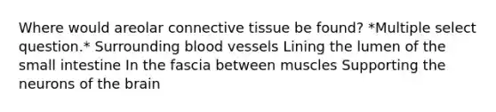 Where would areolar connective tissue be found? *Multiple select question.* Surrounding blood vessels Lining the lumen of the small intestine In the fascia between muscles Supporting the neurons of the brain