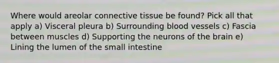 Where would areolar <a href='https://www.questionai.com/knowledge/kYDr0DHyc8-connective-tissue' class='anchor-knowledge'>connective tissue</a> be found? Pick all that apply a) Visceral pleura b) Surrounding blood vessels c) Fascia between muscles d) Supporting the neurons of <a href='https://www.questionai.com/knowledge/kLMtJeqKp6-the-brain' class='anchor-knowledge'>the brain</a> e) Lining the lumen of the small intestine