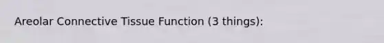 Areolar Connective Tissue Function (3 things):