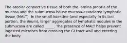 The areolar connective tissue of both the lamina propria of the mucosa and the submucosa house mucosa-associated lymphatic tissue (MALT). In the small intestine (and especially in its last portion, the ileum), larger aggregates of lymphatic nodules in the submucosa are called _____. The presence of MALT helps prevent ingested microbes from crossing the GI tract wall and entering the body