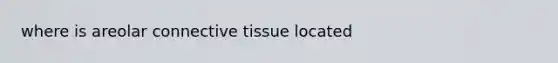 where is areolar <a href='https://www.questionai.com/knowledge/kYDr0DHyc8-connective-tissue' class='anchor-knowledge'>connective tissue</a> located