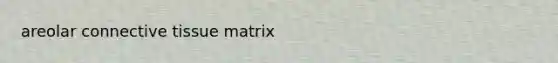 areolar connective tissue matrix