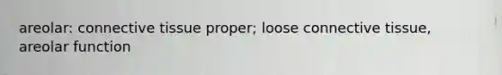 areolar: connective tissue proper; loose connective tissue, areolar function