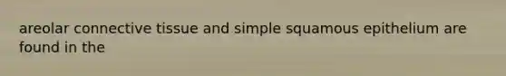 areolar <a href='https://www.questionai.com/knowledge/kYDr0DHyc8-connective-tissue' class='anchor-knowledge'>connective tissue</a> and simple squamous epithelium are found in the