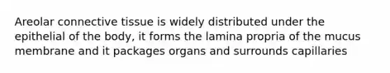 Areolar connective tissue is widely distributed under the epithelial of the body, it forms the lamina propria of the mucus membrane and it packages organs and surrounds capillaries