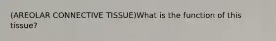 (AREOLAR <a href='https://www.questionai.com/knowledge/kYDr0DHyc8-connective-tissue' class='anchor-knowledge'>connective tissue</a>)What is the function of this tissue?