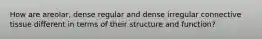 How are areolar, dense regular and dense irregular connective tissue different in terms of their structure and function?
