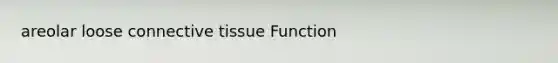 areolar loose connective tissue Function