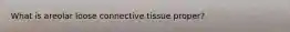 What is areolar loose connective tissue proper?
