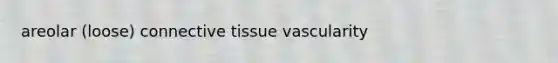 areolar (loose) <a href='https://www.questionai.com/knowledge/kYDr0DHyc8-connective-tissue' class='anchor-knowledge'>connective tissue</a> vascularity