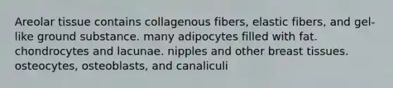 Areolar tissue contains collagenous fibers, elastic fibers, and gel-like ground substance. many adipocytes filled with fat. chondrocytes and lacunae. nipples and other breast tissues. osteocytes, osteoblasts, and canaliculi