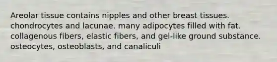 Areolar tissue contains nipples and other breast tissues. chondrocytes and lacunae. many adipocytes filled with fat. collagenous fibers, elastic fibers, and gel-like ground substance. osteocytes, osteoblasts, and canaliculi