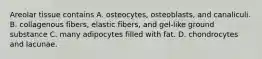 Areolar tissue contains A. osteocytes, osteoblasts, and canaliculi. B. collagenous fibers, elastic fibers, and gel-like ground substance C. many adipocytes filled with fat. D. chondrocytes and lacunae.