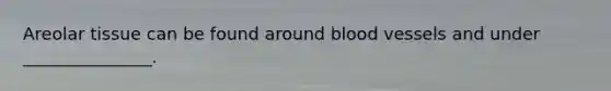 Areolar tissue can be found around blood vessels and under _______________.