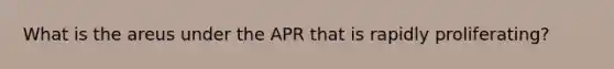 What is the areus under the APR that is rapidly proliferating?