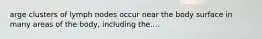 arge clusters of lymph nodes occur near the body surface in many areas of the body, including the....