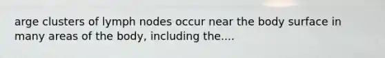 arge clusters of lymph nodes occur near the body surface in many areas of the body, including the....