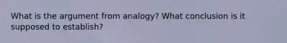 What is the argument from analogy? What conclusion is it supposed to establish?