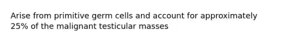 Arise from primitive germ cells and account for approximately 25% of the malignant testicular masses