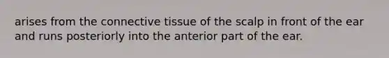 arises from the connective tissue of the scalp in front of the ear and runs posteriorly into the anterior part of the ear.