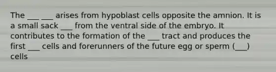 The ___ ___ arises from hypoblast cells opposite the amnion. It is a small sack ___ from the ventral side of the embryo. It contributes to the formation of the ___ tract and produces the first ___ cells and forerunners of the future egg or sperm (___) cells