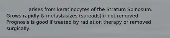 ________- arises from keratinocytes of the Stratum Spinosum. Grows rapidly & metastasizes (spreads) if not removed. Prognosis is good if treated by radiation therapy or removed surgically.