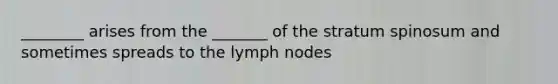 ________ arises from the _______ of the stratum spinosum and sometimes spreads to the lymph nodes