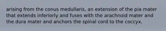 arising from the conus medullaris, an extension of the pia mater that extends inferiorly and fuses with the arachnoid mater and the dura mater and anchors the spinal cord to the coccyx.