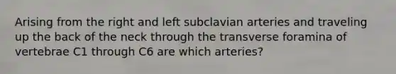 Arising from the right and left subclavian arteries and traveling up the back of the neck through the transverse foramina of vertebrae C1 through C6 are which arteries?