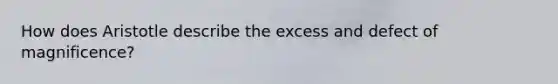 How does Aristotle describe the excess and defect of magnificence?