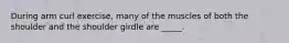 During arm curl exercise, many of the muscles of both the shoulder and the shoulder girdle are _____.