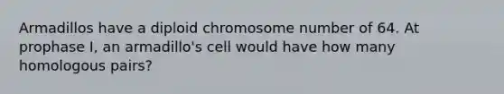 Armadillos have a diploid chromosome number of 64. At prophase I, an armadillo's cell would have how many homologous pairs?