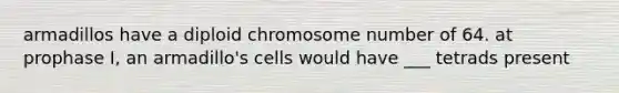 armadillos have a diploid chromosome number of 64. at prophase I, an armadillo's cells would have ___ tetrads present