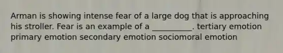 Arman is showing intense fear of a large dog that is approaching his stroller. Fear is an example of a __________. tertiary emotion primary emotion secondary emotion sociomoral emotion