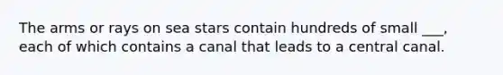 The arms or rays on sea stars contain hundreds of small ___, each of which contains a canal that leads to a central canal.