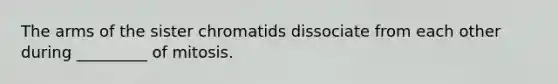 The arms of the sister chromatids dissociate from each other during _________ of mitosis.