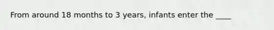 From around 18 months to 3 years, infants enter the ____