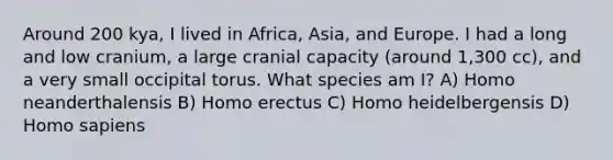 Around 200 kya, I lived in Africa, Asia, and Europe. I had a long and low cranium, a large cranial capacity (around 1,300 cc), and a very small occipital torus. What species am I? A) Homo neanderthalensis B) Homo erectus C) Homo heidelbergensis D) Homo sapiens