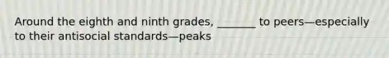 Around the eighth and ninth grades, _______ to peers—especially to their antisocial standards—peaks